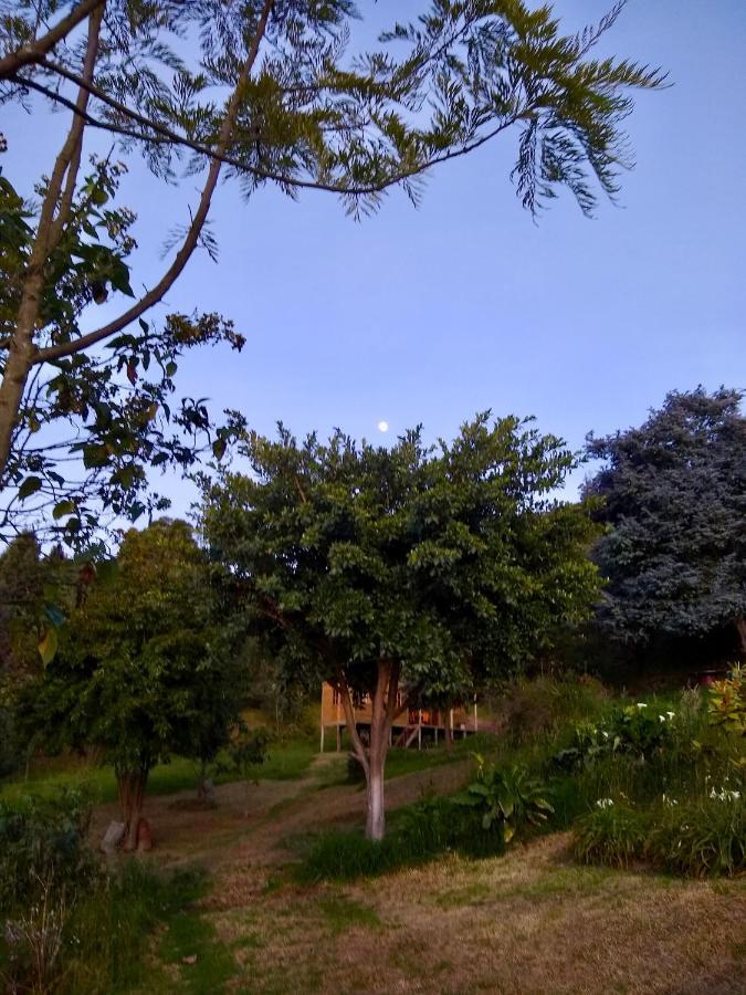 Cabaña Agrreste Bed&Breakfast - Solo Adultos Nemocon Exterior foto